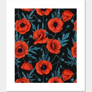 Poppies, red and blue on black Posters and Art
